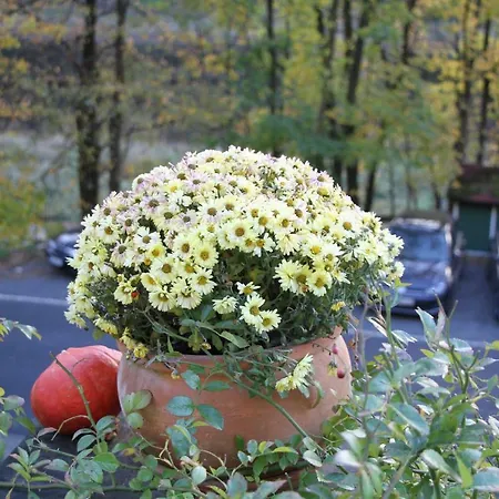 Menuett - Kamin - Terrasse - Elbblick Casa de Férias