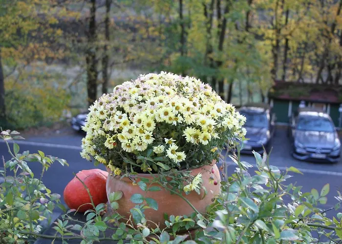 Haus Menuett וילה